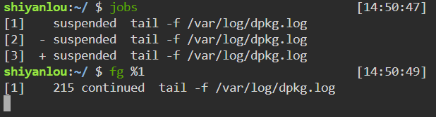 image-20231201225144514